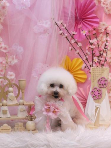 20250325チュッチュくん